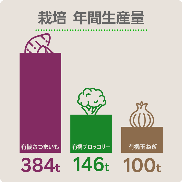 栽培の年間生産量: 有機さつまいも384t、有機ブロッコリー146t、有機玉ねぎ100t